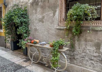 Verona street scene with bicycle