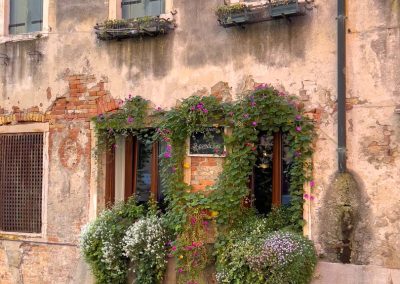 Venice lush green windows on canal