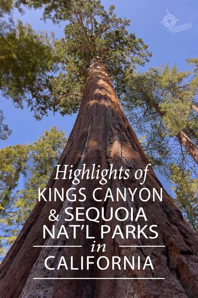 PINTEREST_Sequoias