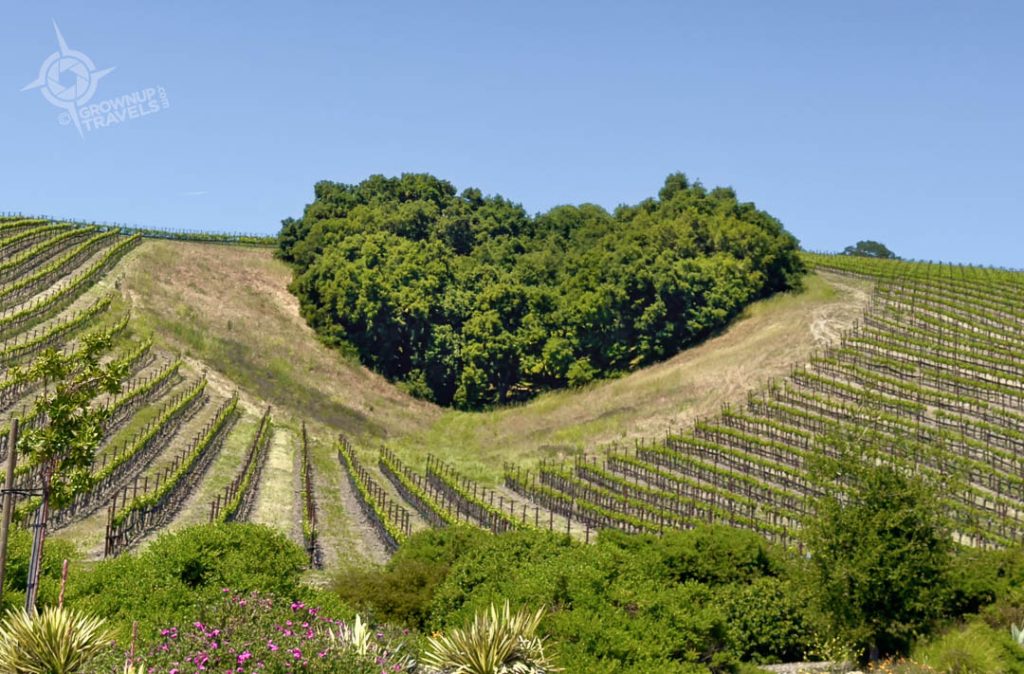 Heart Hill at Niner winery