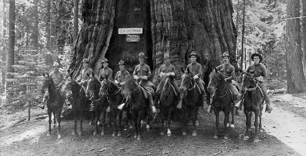 last-year-of-cavalry-at-base-of-general sherman