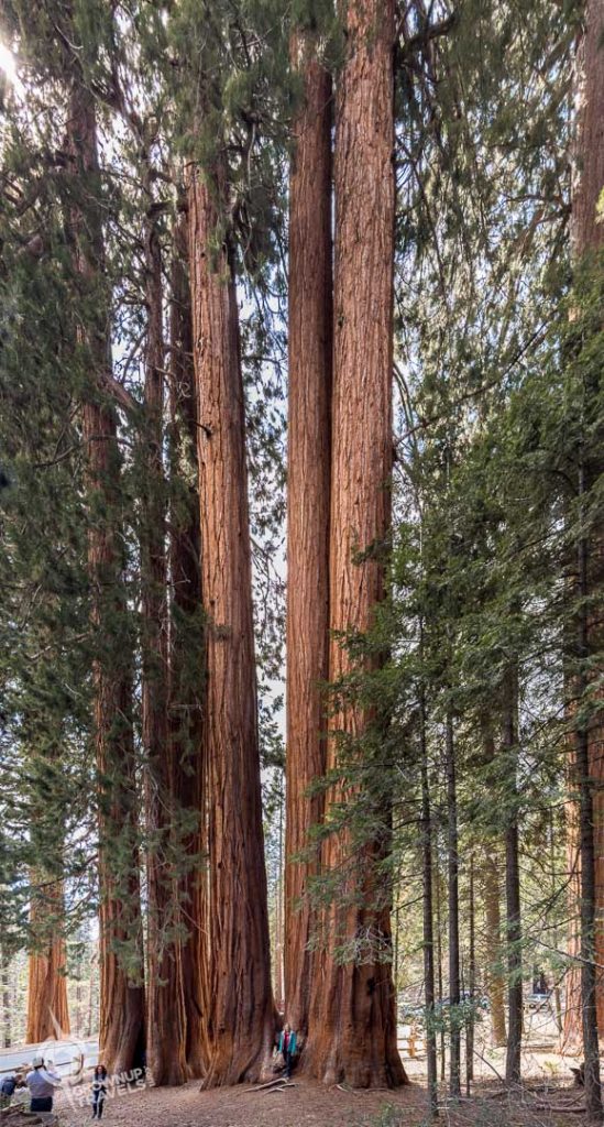 standing with giants Lost Grove