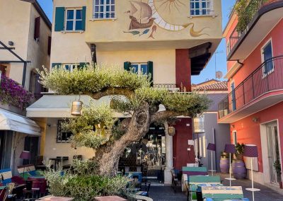 Caorle cafe patio with tree