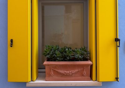 Caorle yellow blue and plant