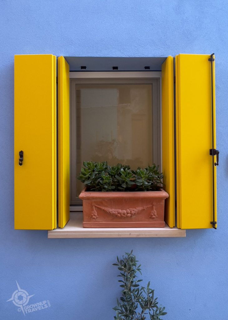 Caorle yellow blue and plant