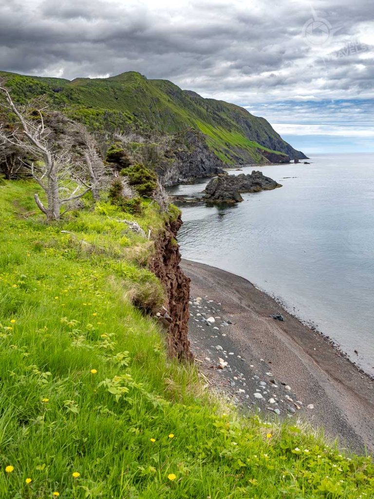 Green Gardens Trail in Gros Morne Park with grassy shoreline