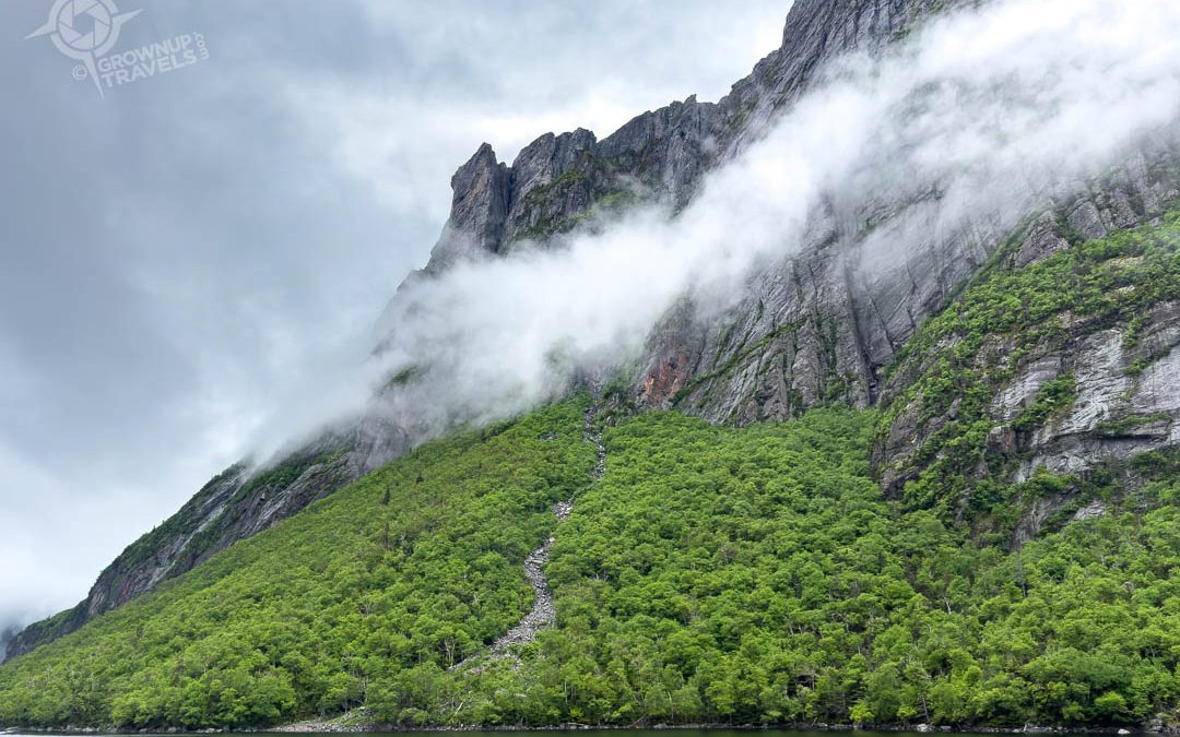 What to See on the ‘Best Coast’ of Newfoundland