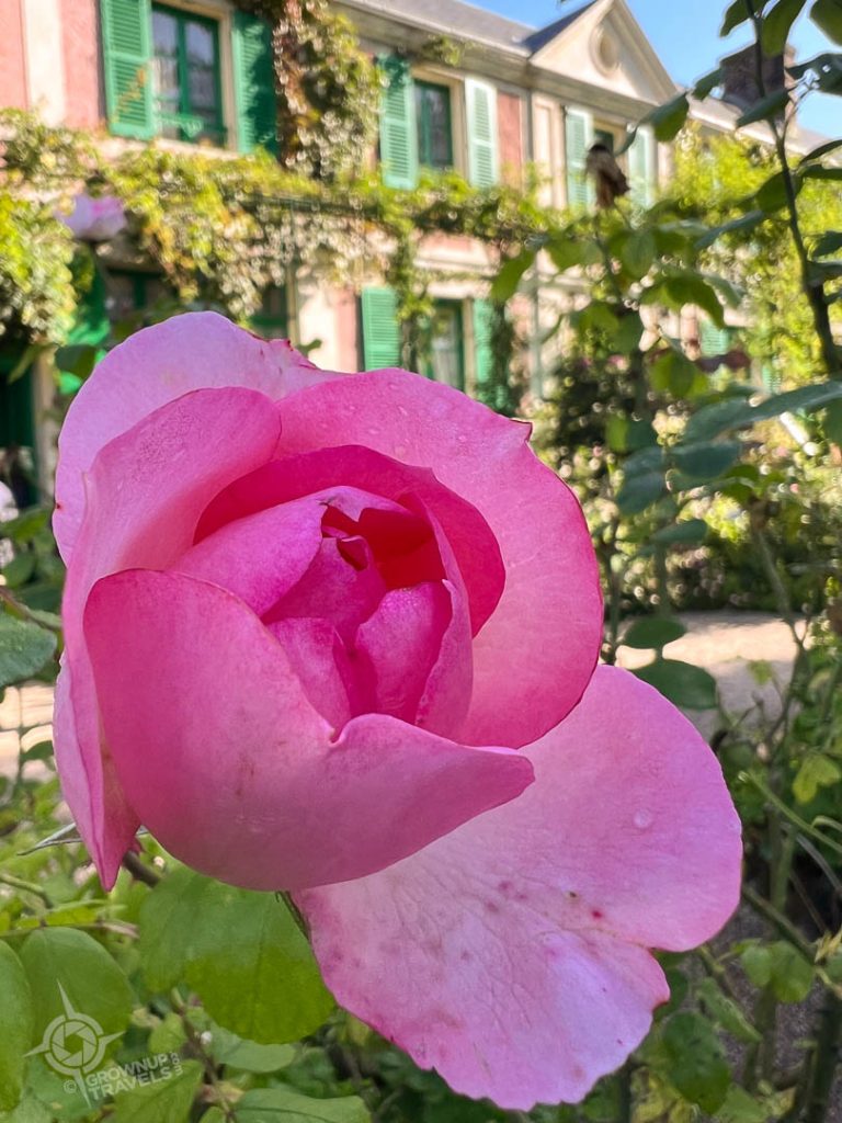 Monets house with rose in front