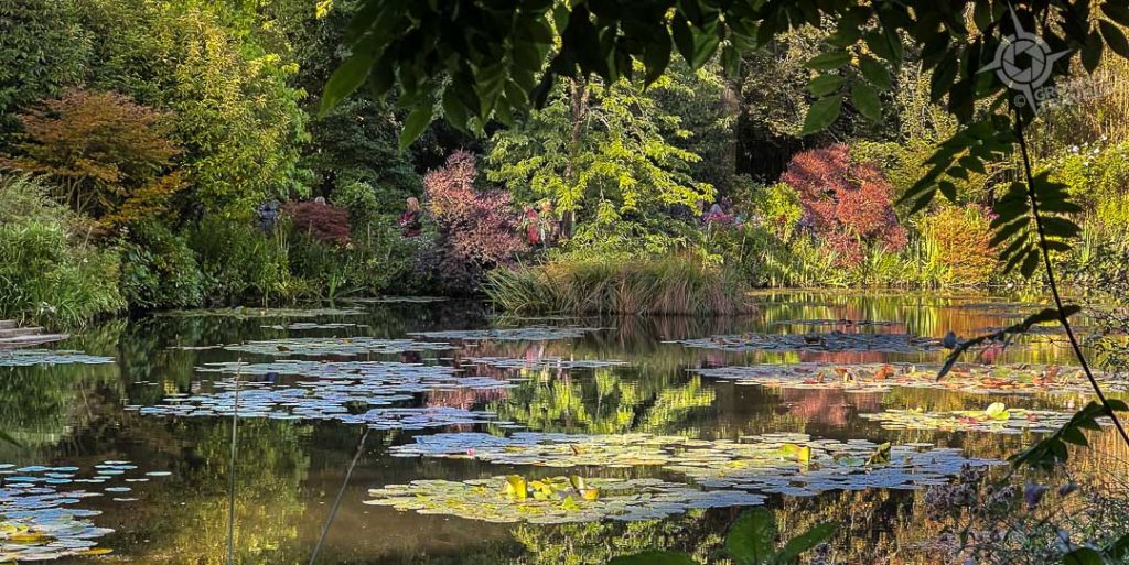 Monet's lily pond sunlit morning-4