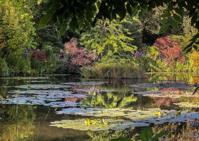 Monet's lily pond sunlit morning-4