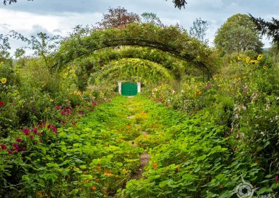 Rose Arch Grand Allée Giverny