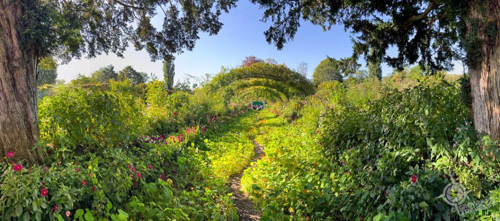 Rose Arch Grand Allée Giverny