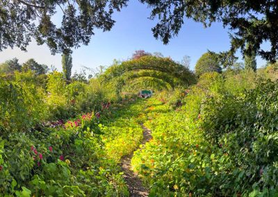 Rose Arch Grand Allée Giverny