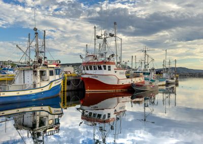 Bonavista harbour vert