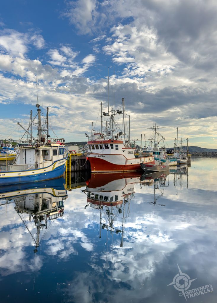 Bonavista harbour vert
