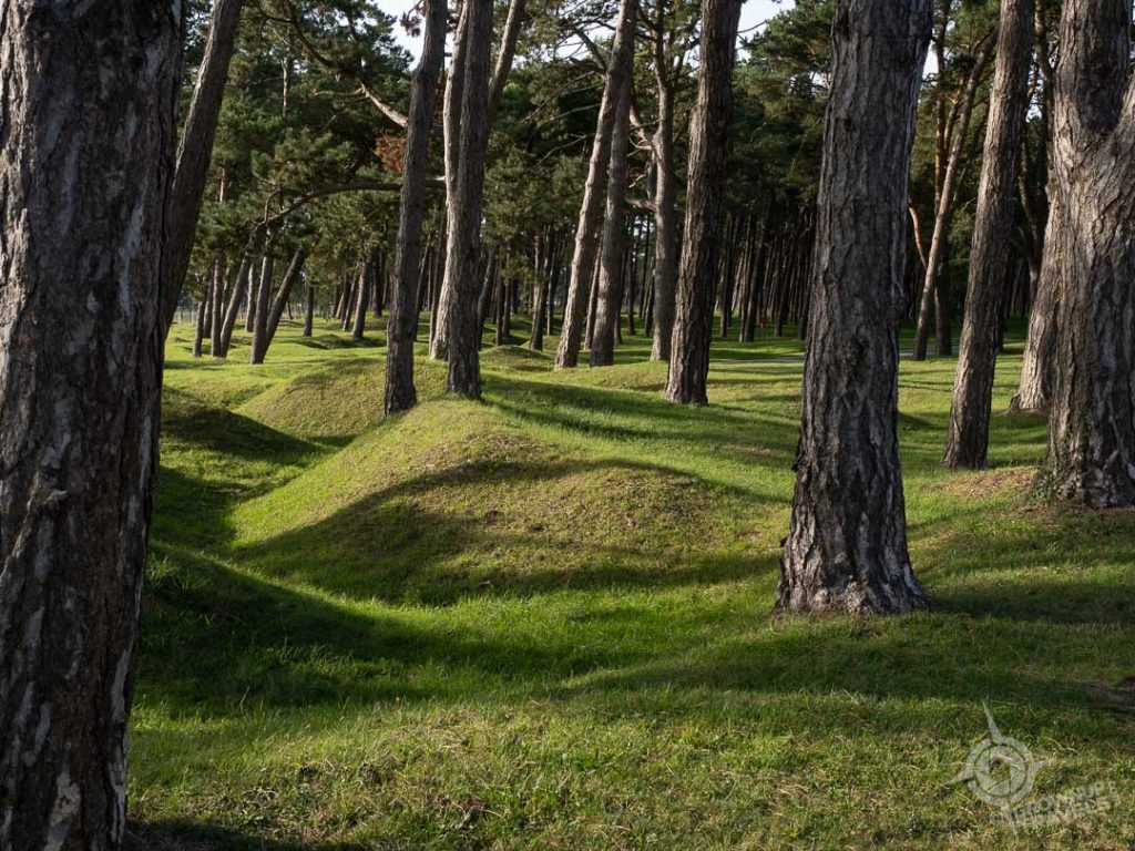 Grassy mounds Vimy Ridge