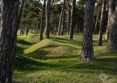 Grassy mounds Vimy Ridge