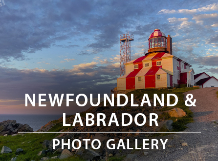NEWFOUNDLAND PHOTO GALLERY NEWFOUNDLAND PHOTO GALLERY