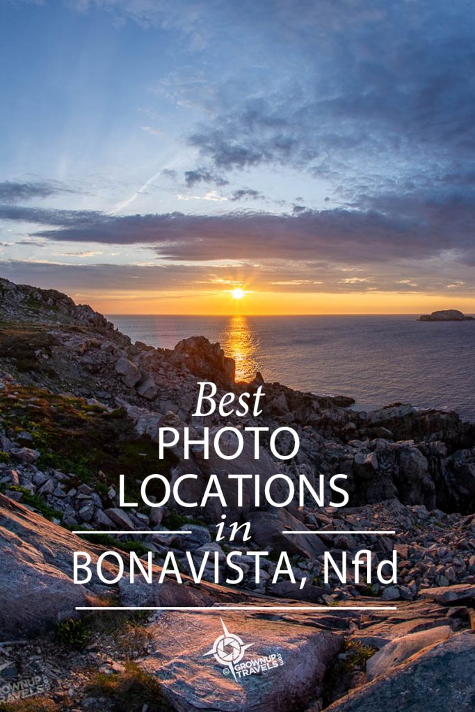 PINTEREST_Bonavista