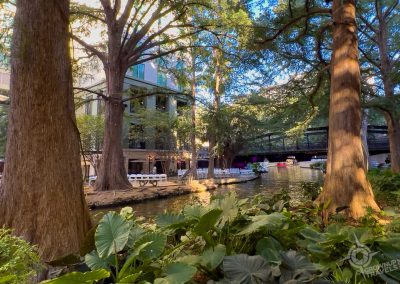 San Antonio Riverwalk Lush views