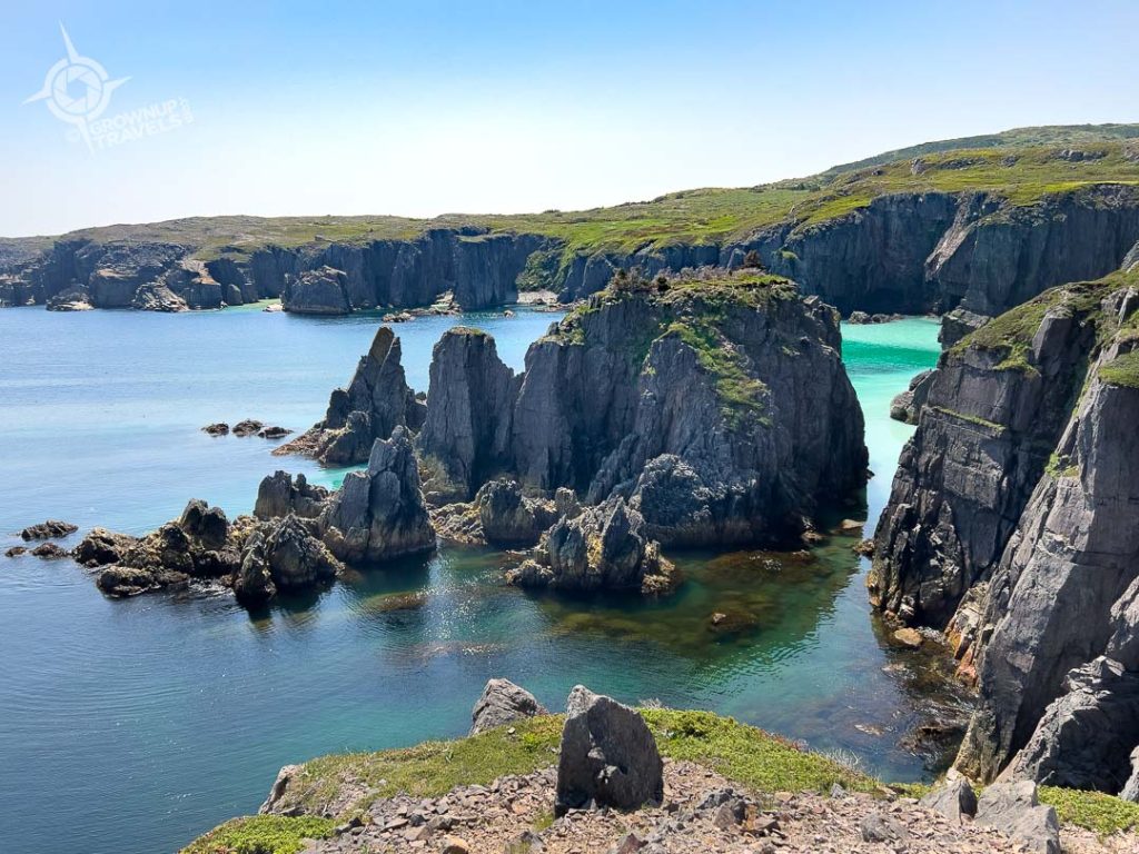 Spillars Cove with herring spawn in cove Bonavista Newfoundland