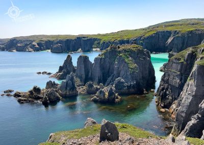 Spillars Cove with herring spawn in cove Bonavista Newfoundland
