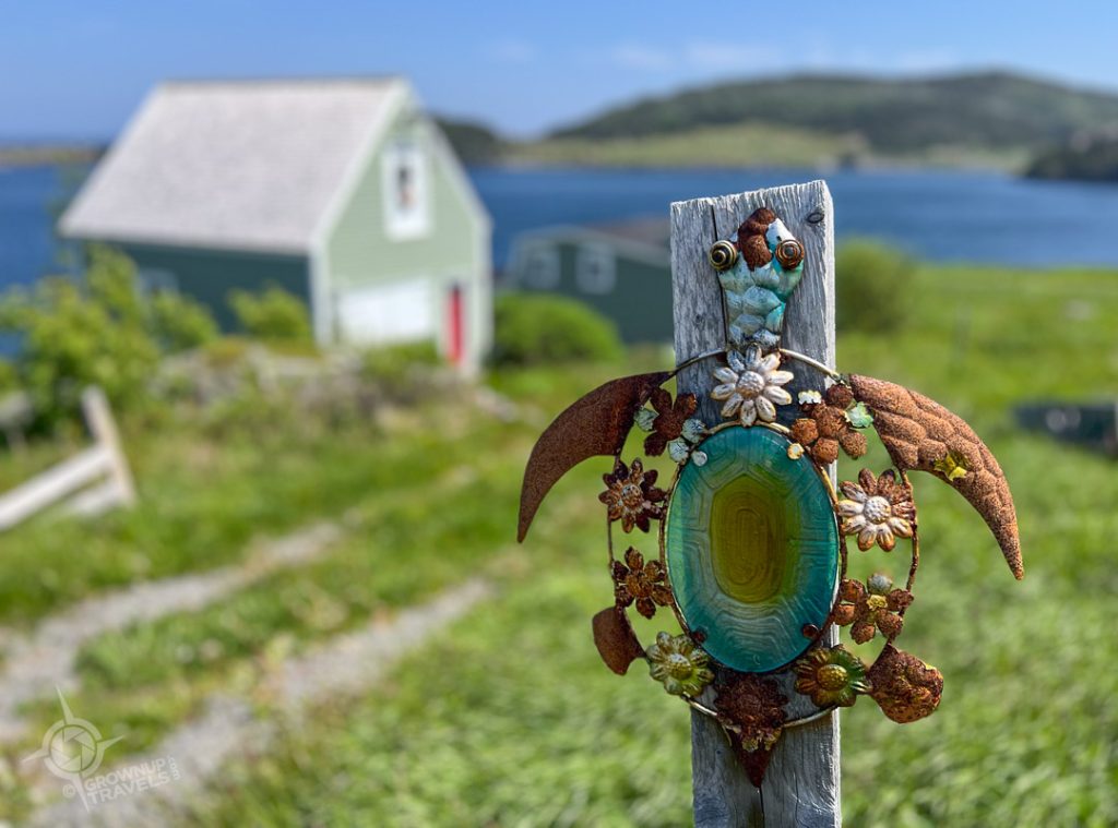Trinity Newfoundland turtle post