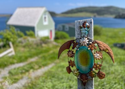 Trinity Newfoundland turtle post