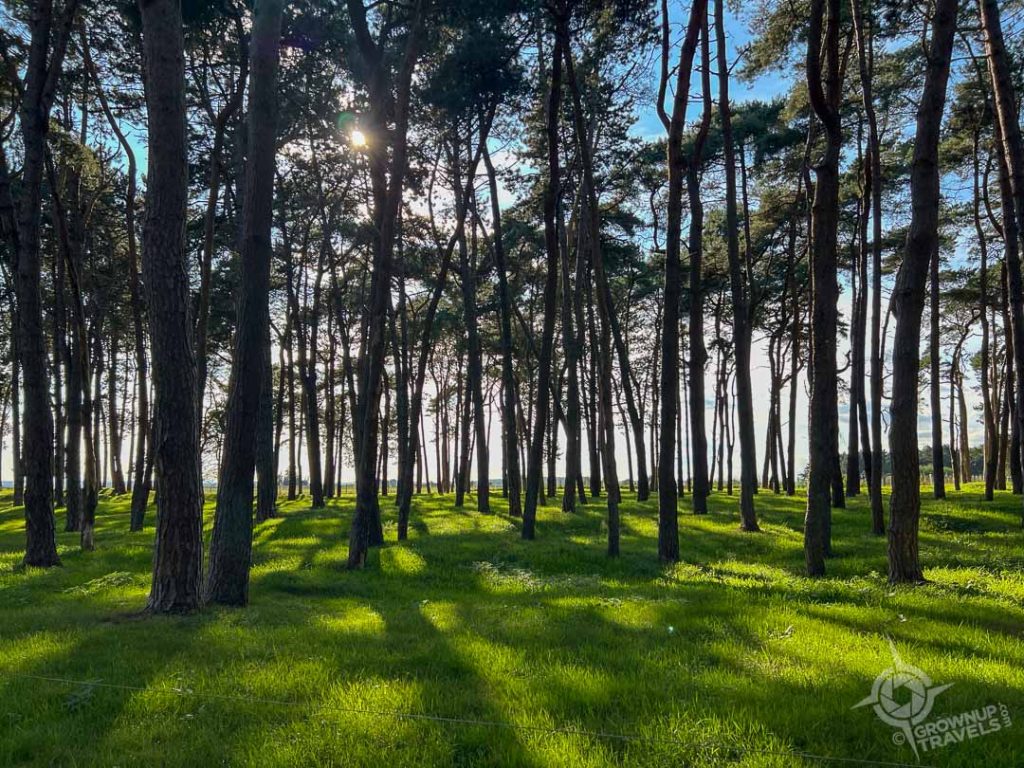 Vimy Ridge grounds