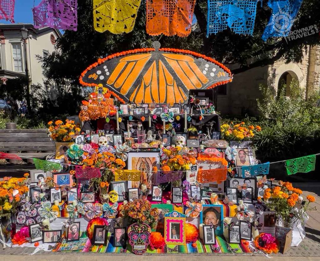 butterfly ofrenda Muertos Fest 2024