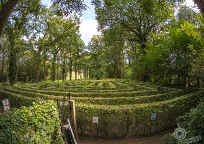 Castle Loppem labyrinth Bruges Belgium