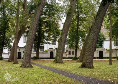 Slanted trees in Begijnhof in Bruges Belgium