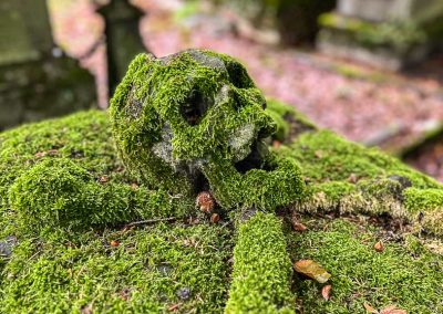 Wemaer Grave with skull Bruges Belgium