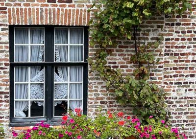 window boxes in Begijnhof in Bruges Belgium