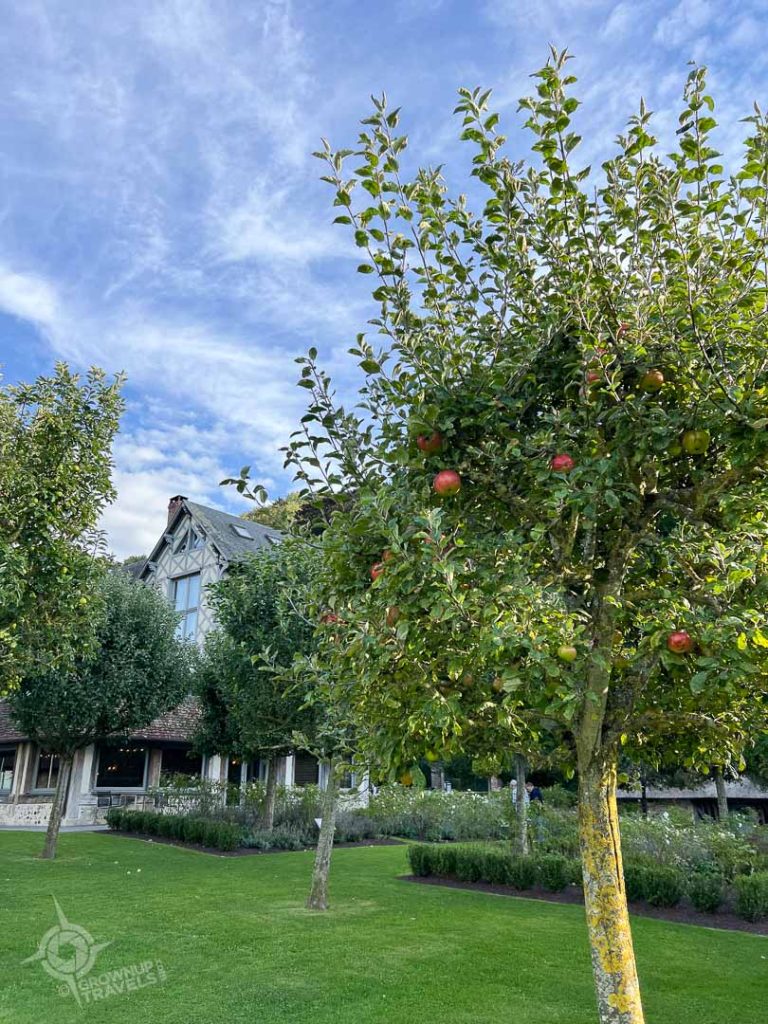 Apple Trees at Ferme San Simeon Honfleur