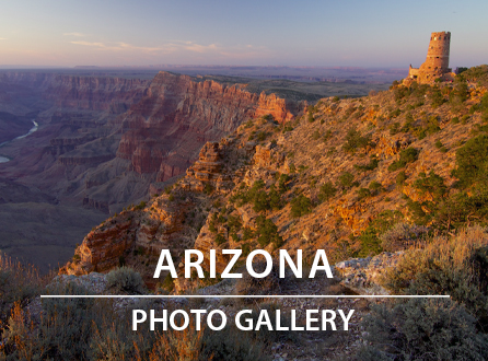Arizona