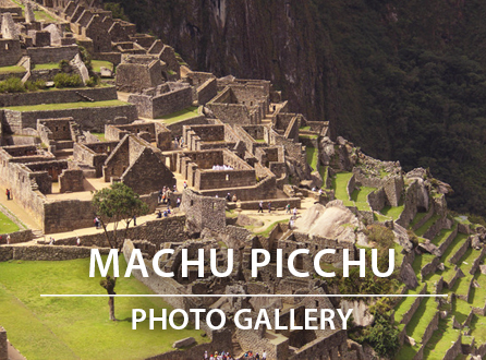 Machu Picchu Photo Gallery