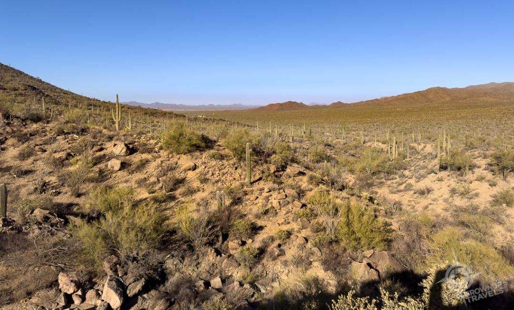 Saguaro National Park West Tucson