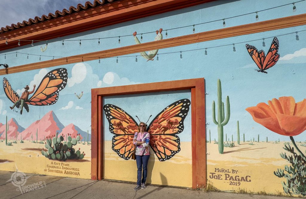 Jane and Joe Pagac Butterflies Mural Tucson