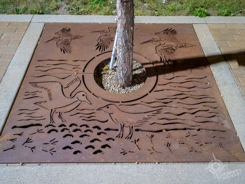 Saskatoon sidewalk tree grate with pelicans