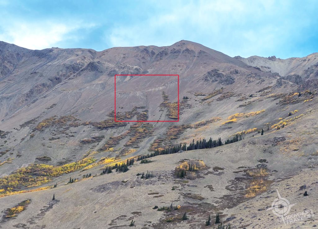 Sheep Mountain sheep farther horiz Yukon