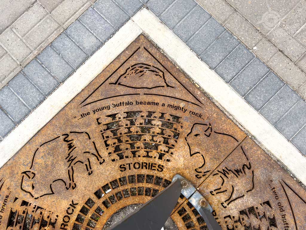 Tree base grate with bison in Saskatoon