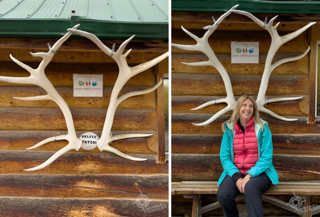 Yukon Wildlife Preserve Selfie Station and Jane