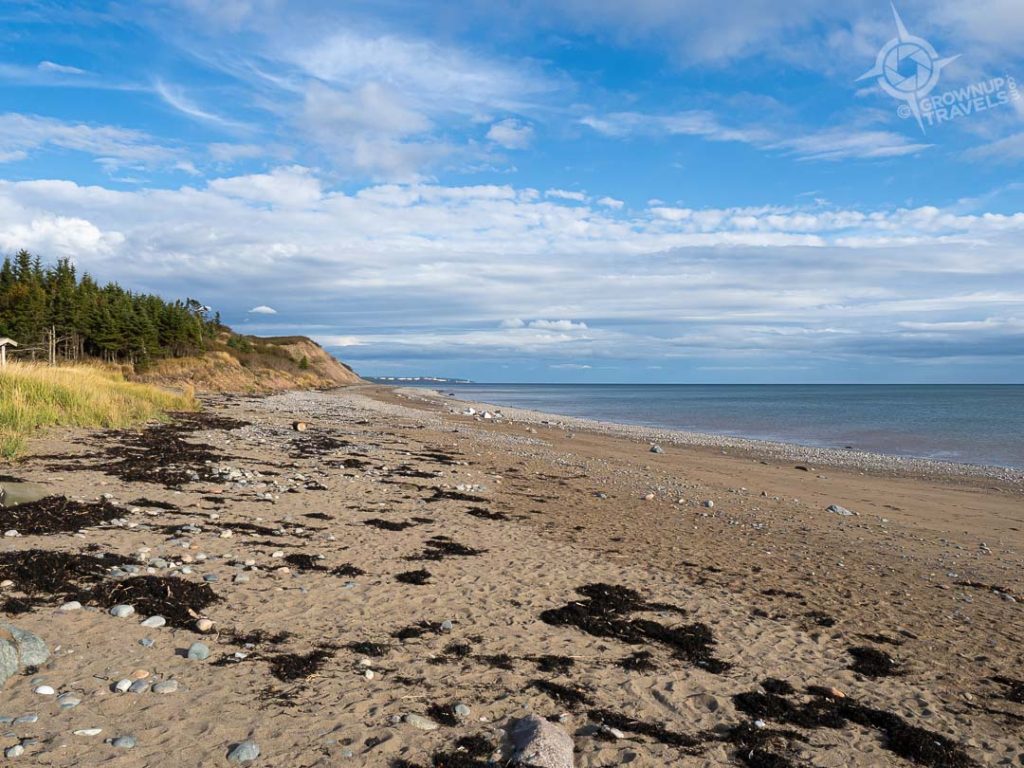 Irving Nature Park Saints Rest beach Saint John