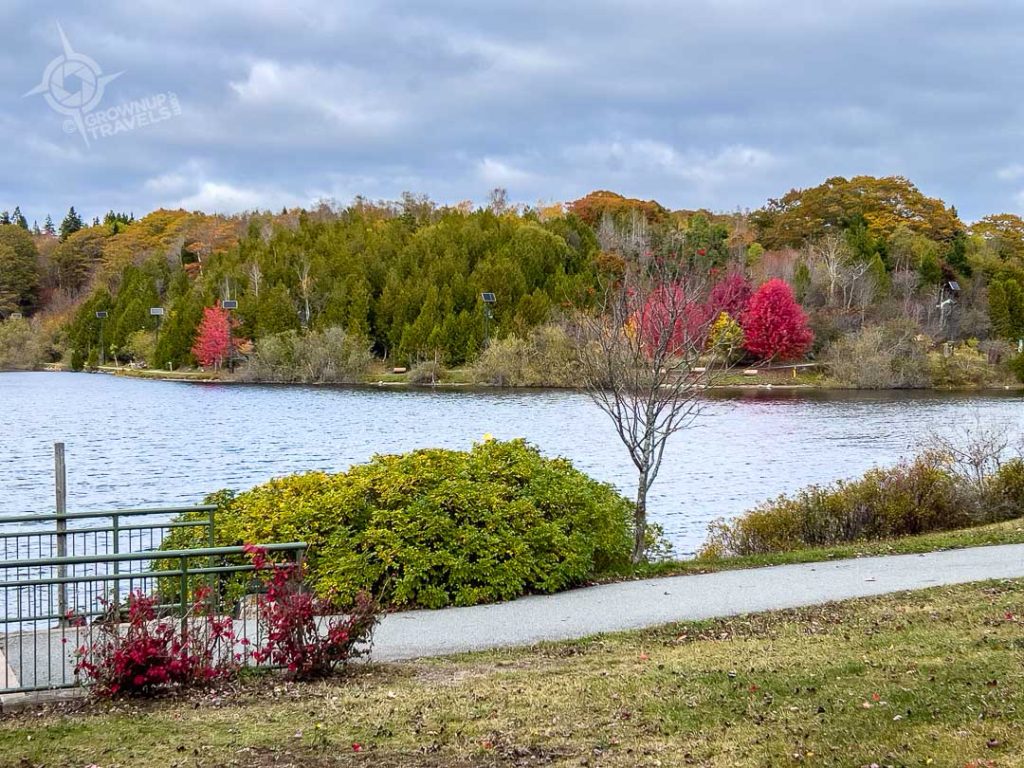 Rockwood Park Lily Lake Saint John