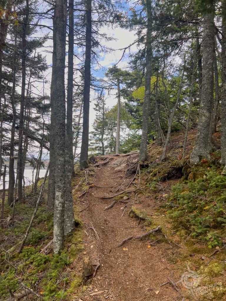 Trail in Irving Nature Park Saint John-2