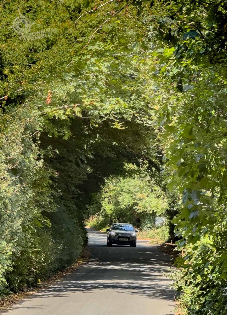 narrow English country roads
