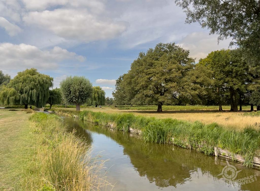 Pond in Bushy Park near Kingston Upon Thames_