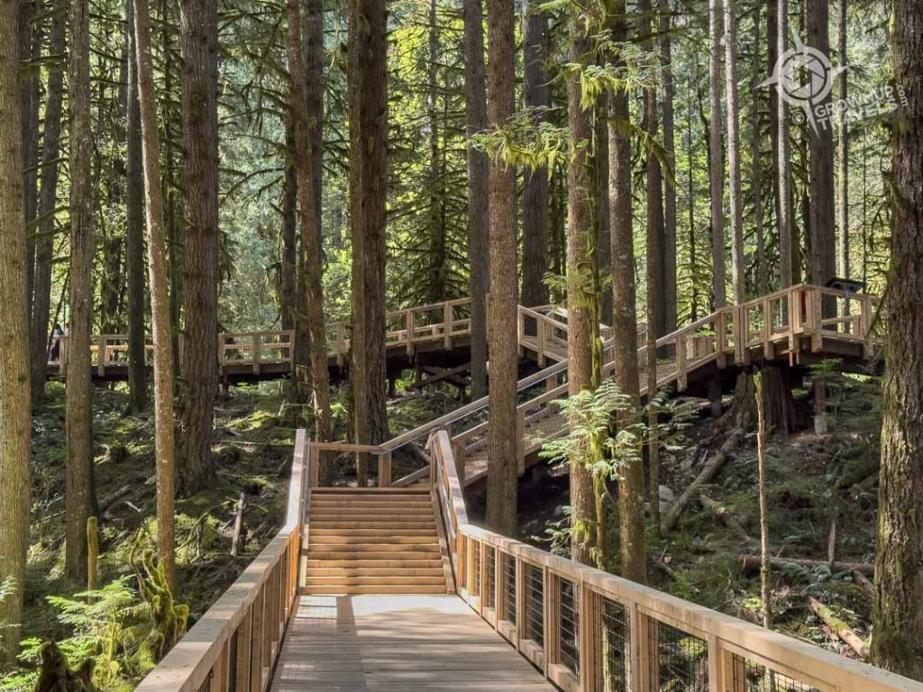 Squamish Canyon elevated walkways
