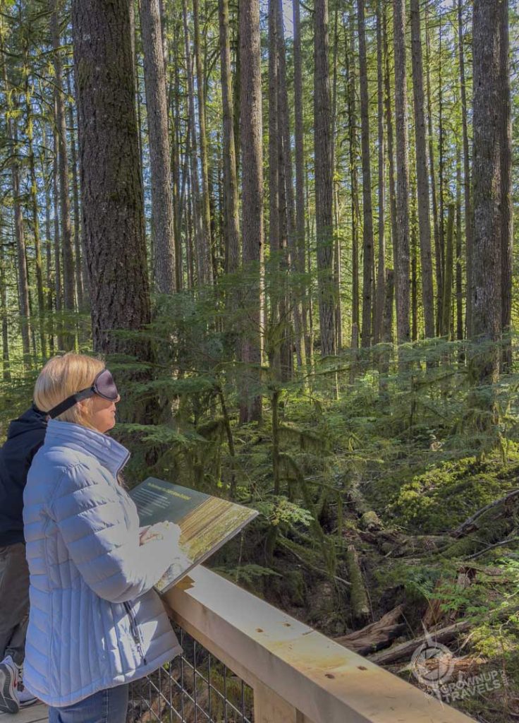 Squamish Canyon forest bathing Jane